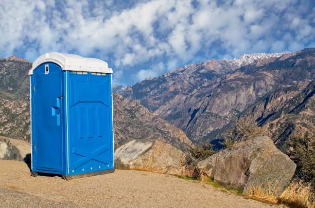 Best Porta potty cleaning services  in Millsboro, DE
